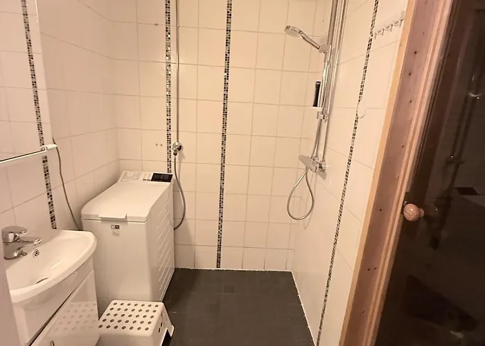 Center - 2br With Sauna, Free Parking Apartment